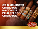 Seis melhores charutos nacionais em destaque