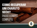 Como recuperar charuto? Entenda de forma simples e prática
