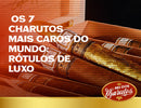Charutos luxuosos dentro de uma caixa elegante