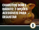Charuto bom e barato: 7 opções acessíveis