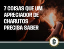 7 charutos para iniciantes que todo mundo precisa conhecer
