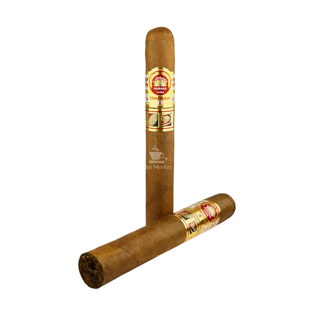 Charuto H.Upmann Connossieur B