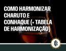 Harmonização entre charuto e conhaque
