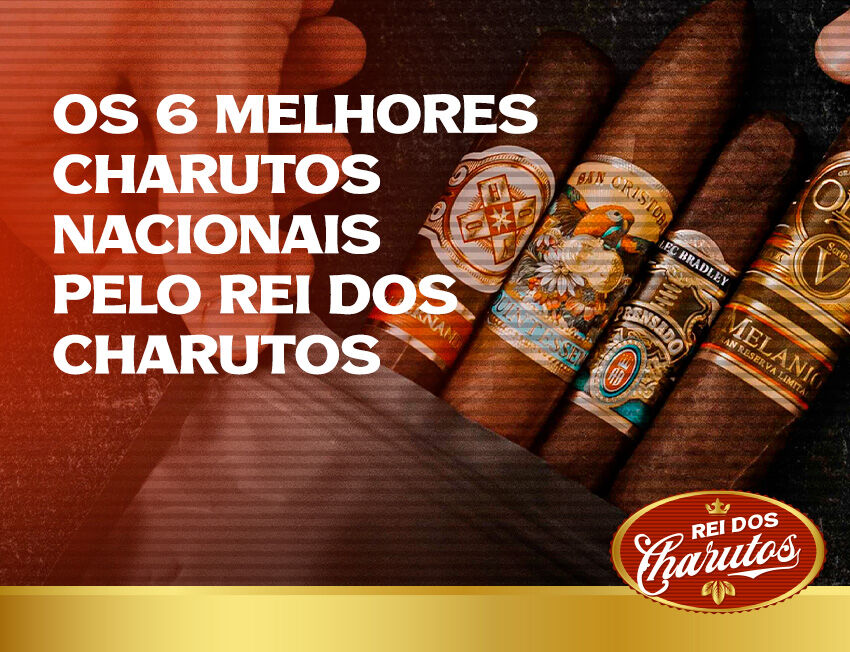 Seis melhores charutos nacionais em destaque