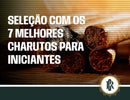 Imagem com charutos em uma superfície plana.