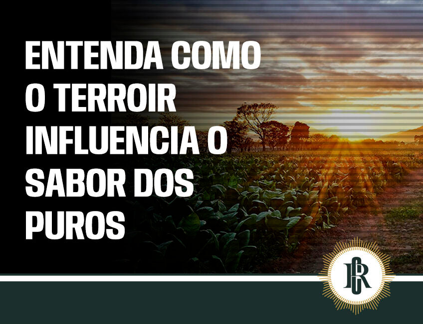 Entenda o impacto do terroir nos puros