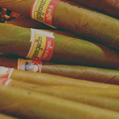 Collection image for: Cigarrilhas
