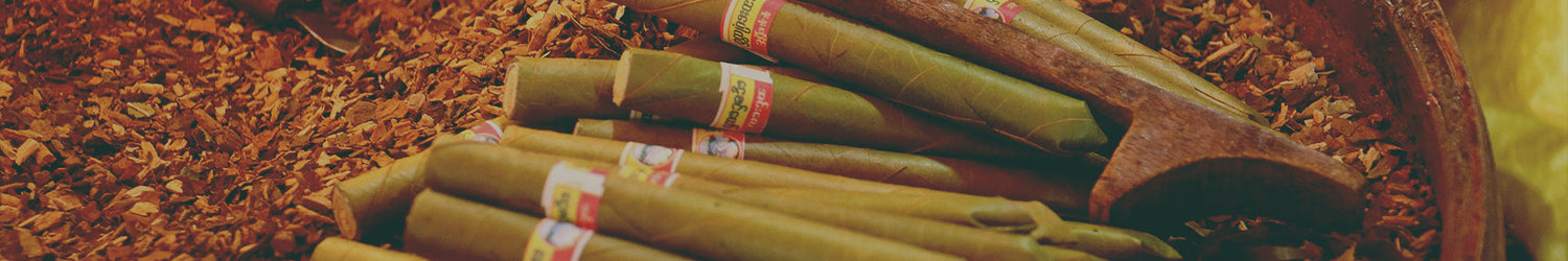 Cigarrilhas