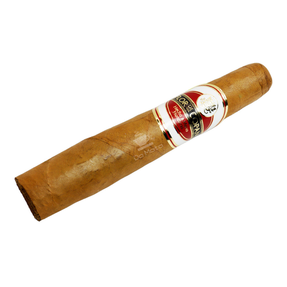 Flor de Copan Gordito